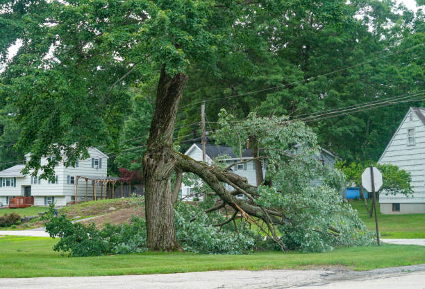 Emergency Storm Tree Removal in Fivepointville, PA